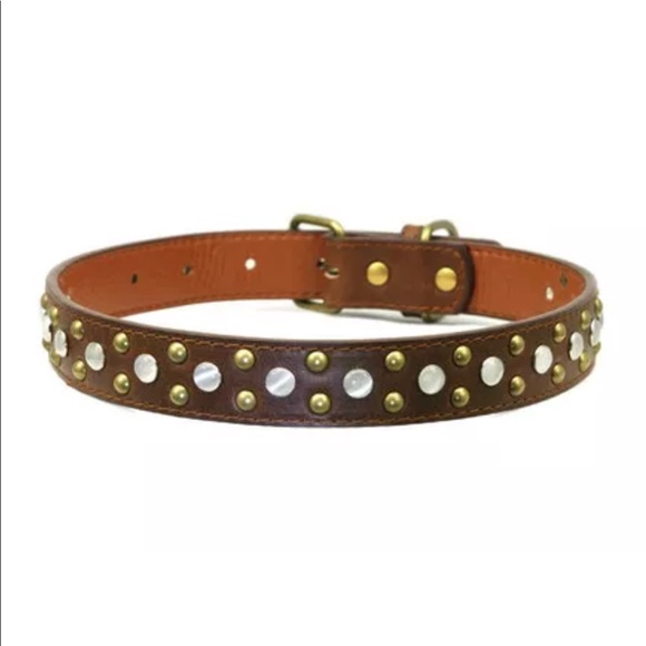 NWT $29 Hip Doggie Faux Pearl Stone Stud Collar M - Picture 2 of 8